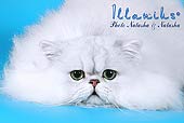 Photoalbum Illanius