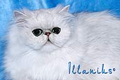 Photoalbum Kittikamir On A Mission