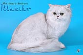 Photoalbum Vinsent Illanius*RU