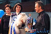 Вручение Главного приза