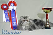 Вручение Главного приза